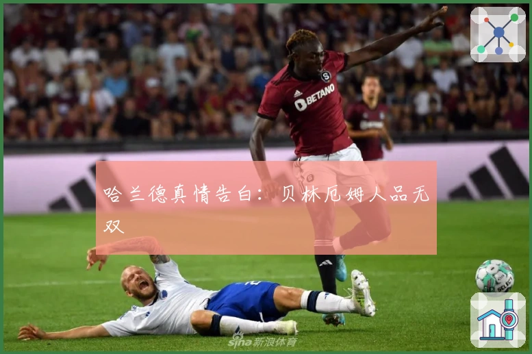 哈兰德真情告白：贝林厄姆人品无双