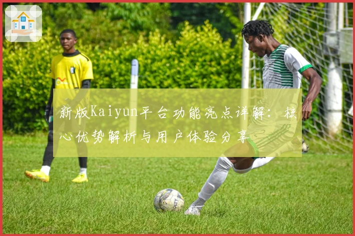 新版Kaiyun平台功能亮点详解：核心优势解析与用户体验分享