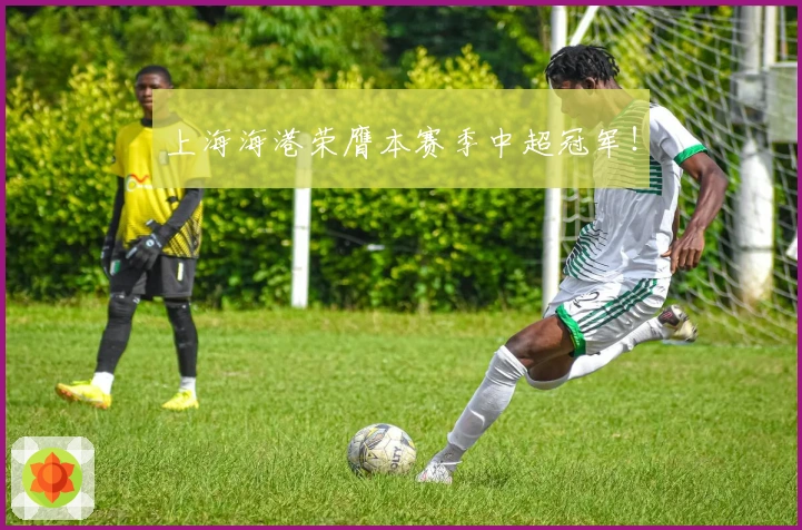 上海海港荣膺本赛季中超冠军！