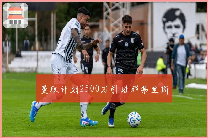 曼联计划2500万引进邓弗里斯